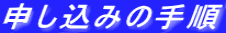 �\�����݂̎菇